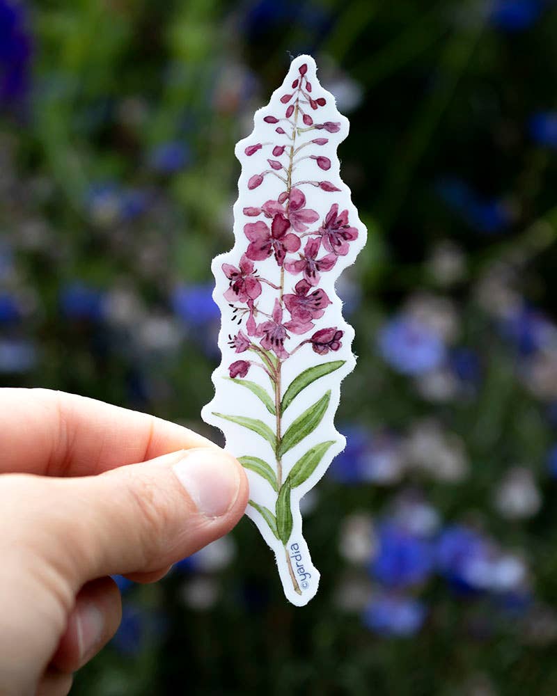 Fireweed Vinyl Sticker - Watercolor Wildflower