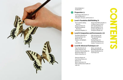 The Insect Artist | How to Observe, Draw, and Paint Butterflies, Bees, and More