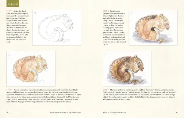 Discover the Art of Field Sketching | Nature-Inspired Techniques for Pencil, Pen, and Watercolor