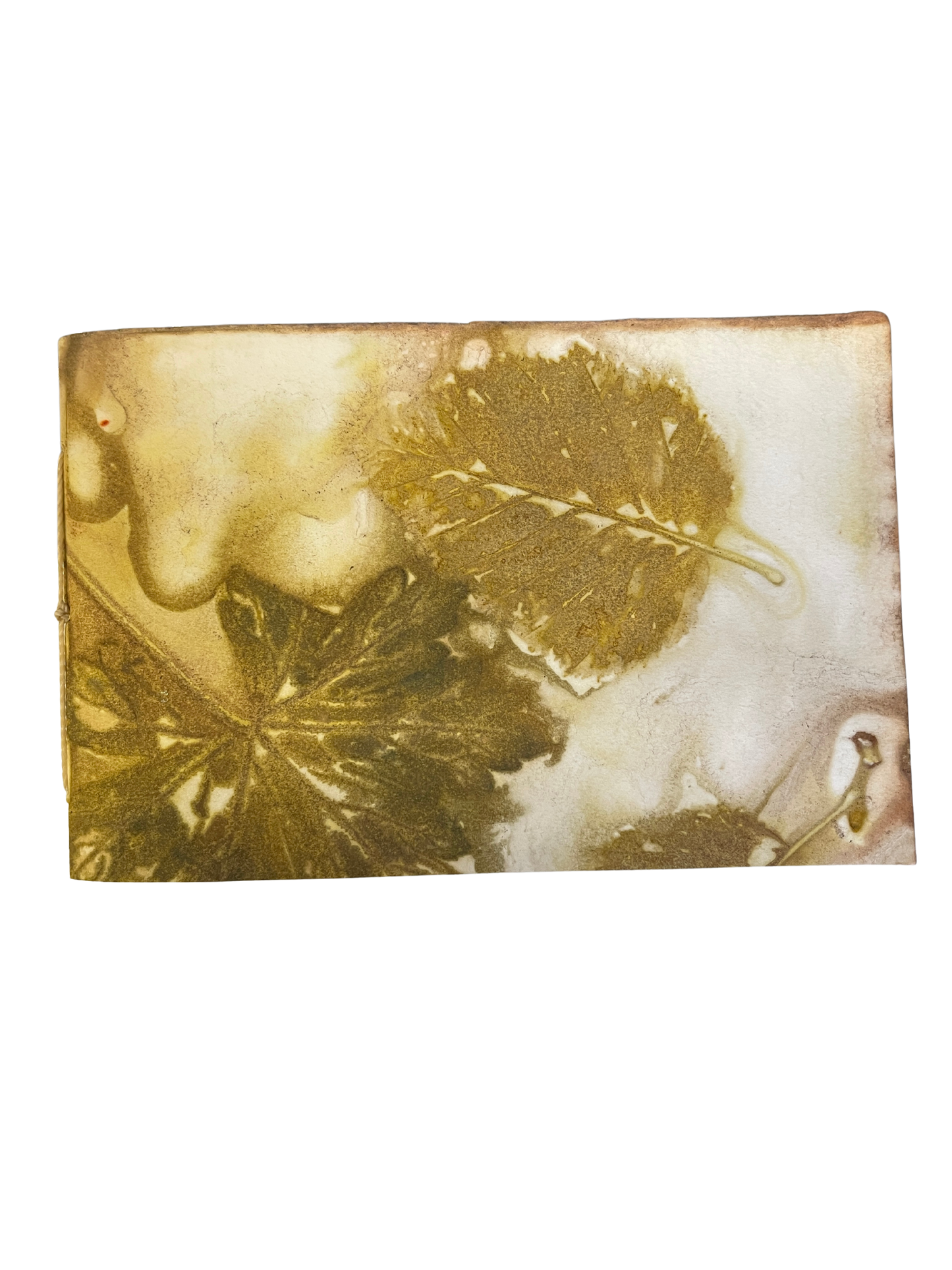 Signature Soft Cover Sketchbook