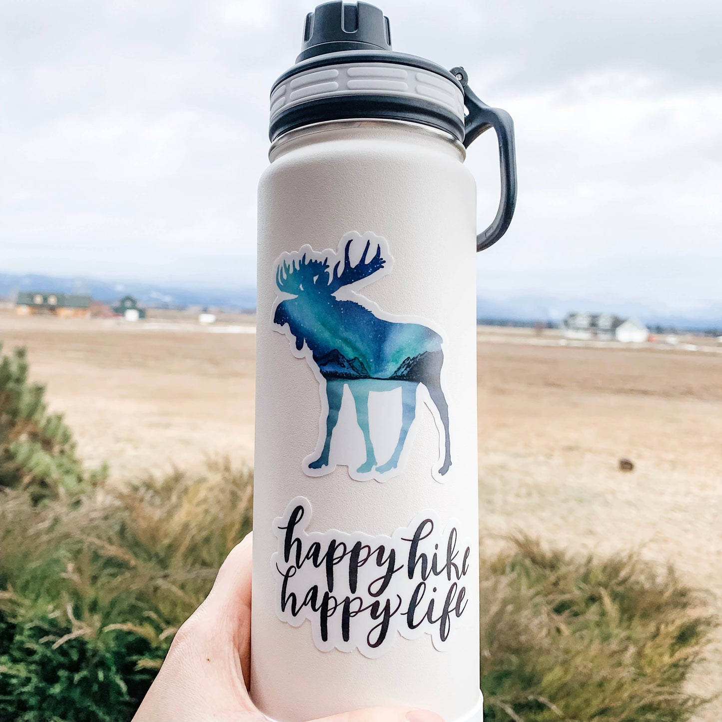 Moose Northern Lights Sticker