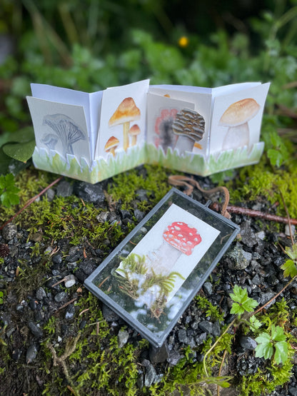 Folio and Frame Mushroom Watercolor Painting Kits