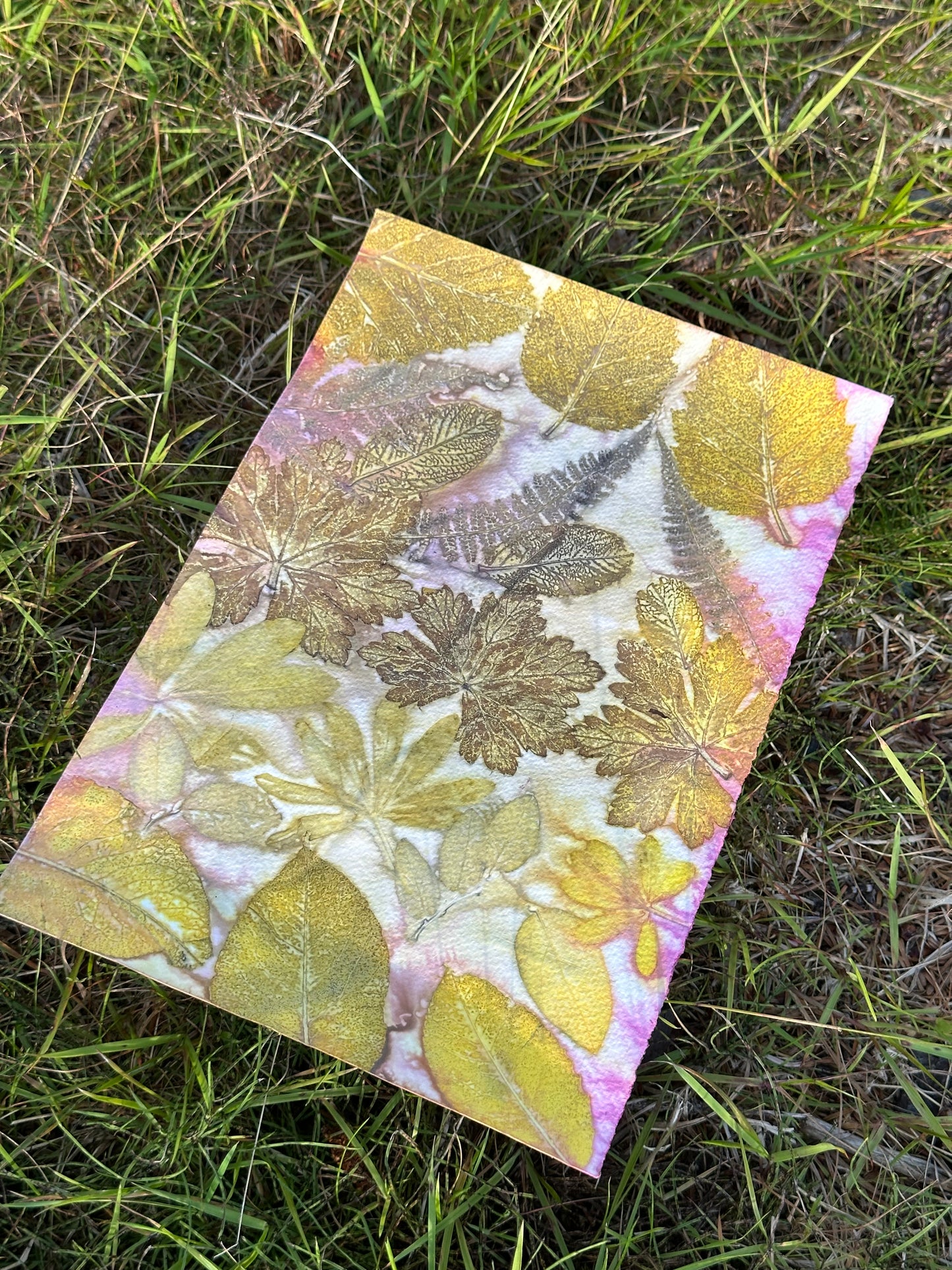 Eco Printing with Tanya Zastrow