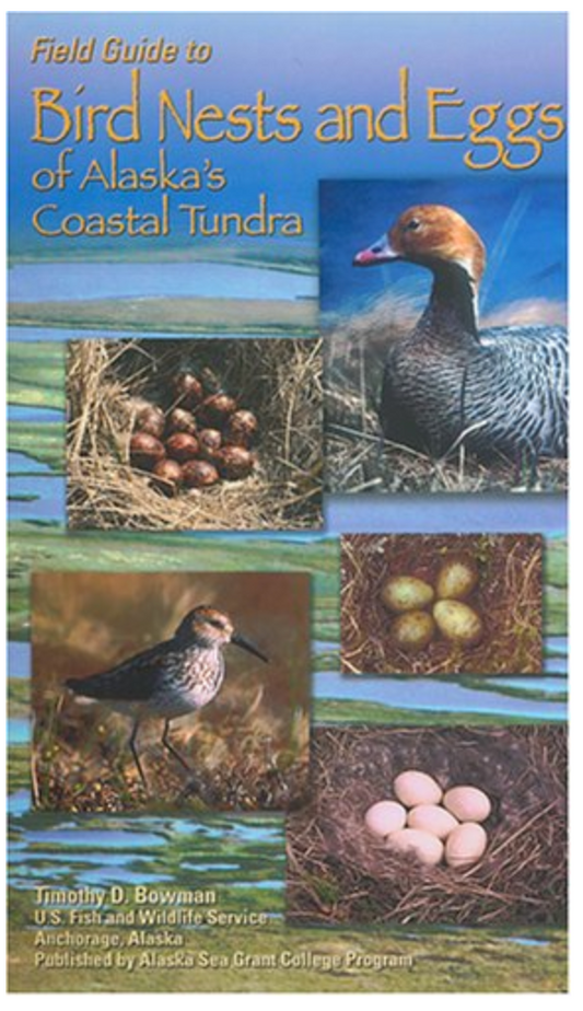 Field Guide to Bird Nest and Eggs