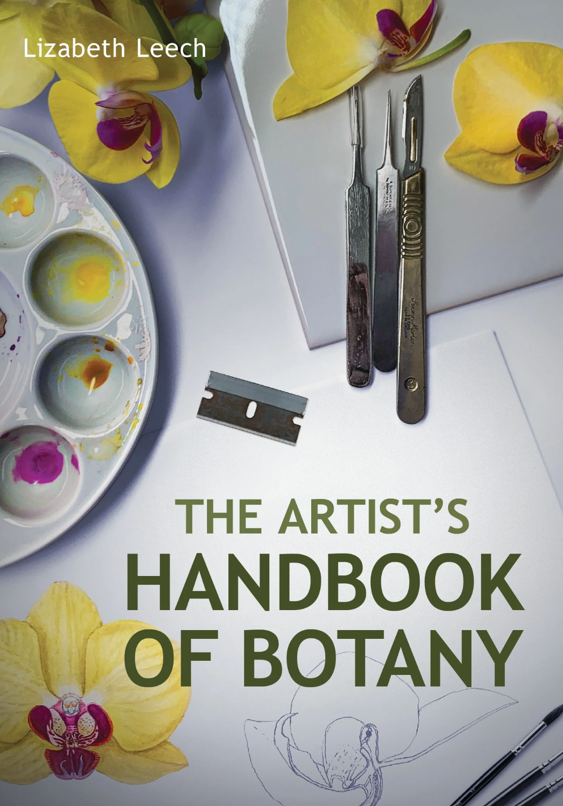 Artists Handbook Of Botany