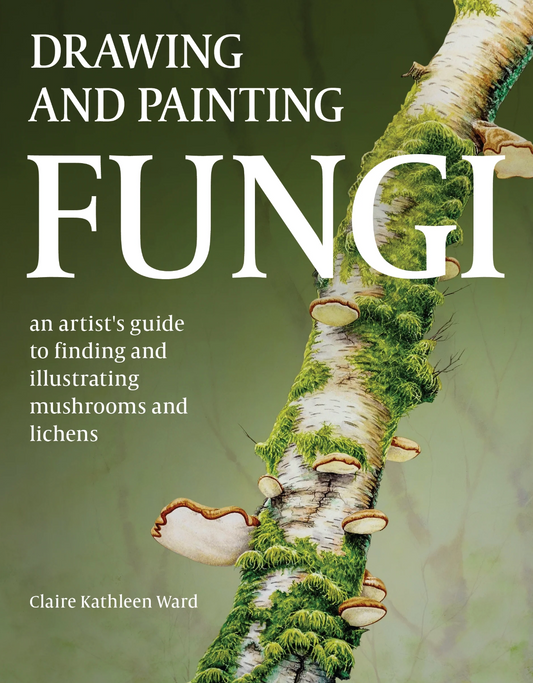 Drawing And Painting Fungi