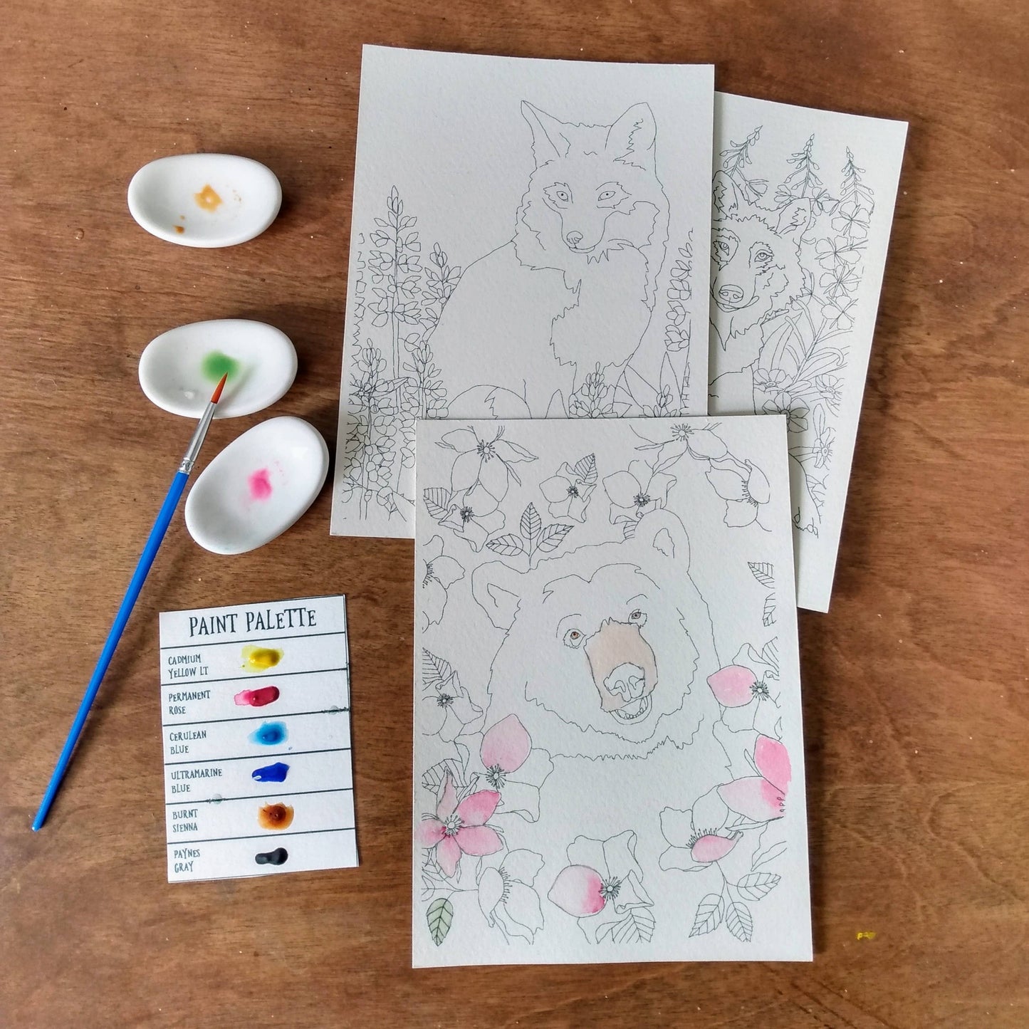 Watercolor Kit - Wildlife Set