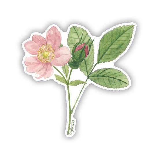 Wild Rose Sticker - Watercolor Floral Vinyl Sticker