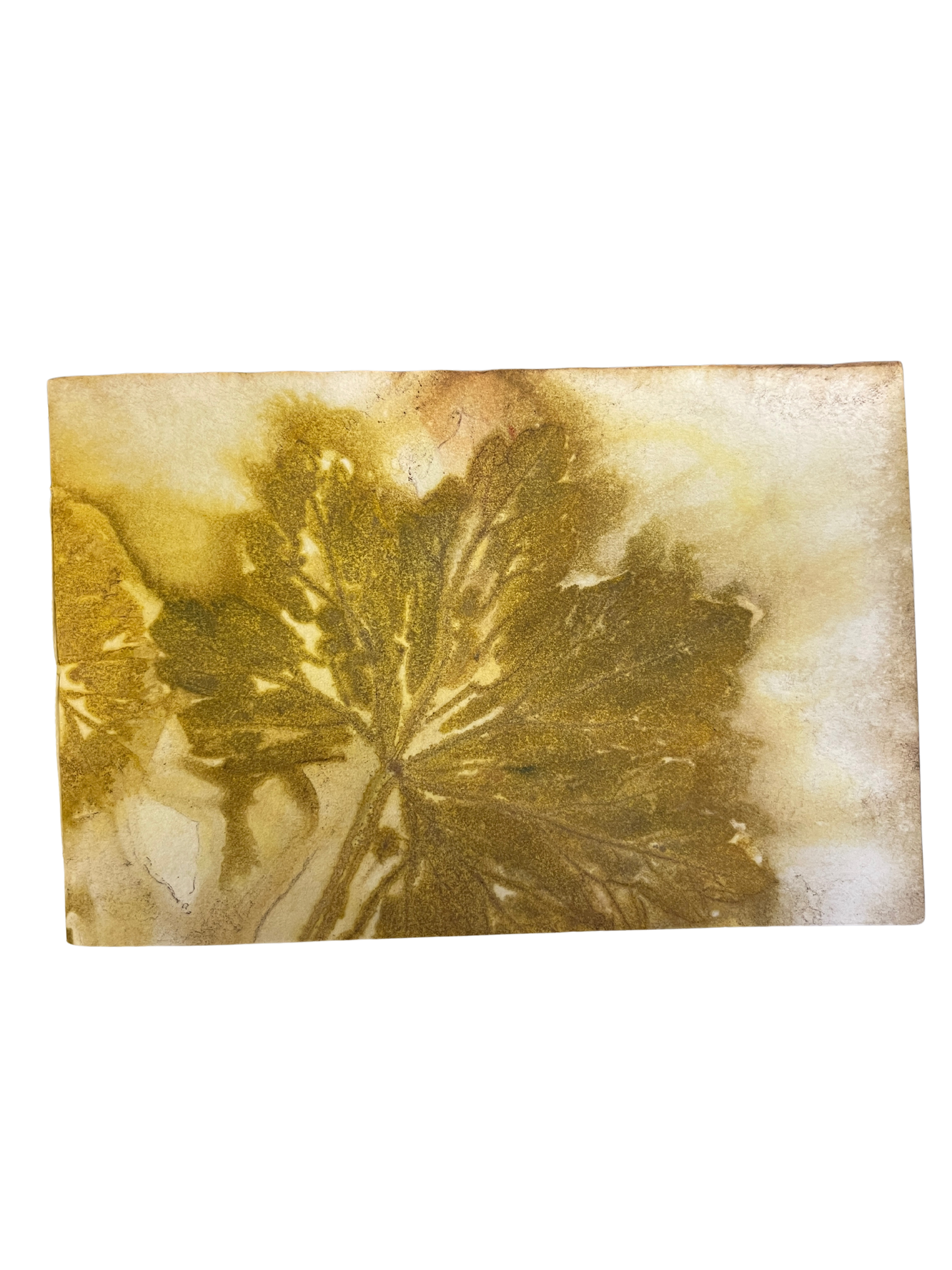 Signature Soft Cover Sketchbook