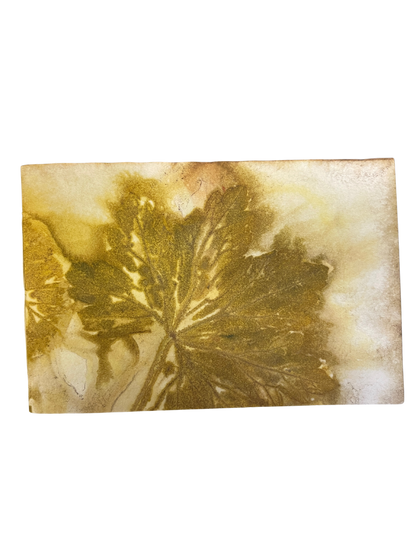 Signature Soft Cover Sketchbook