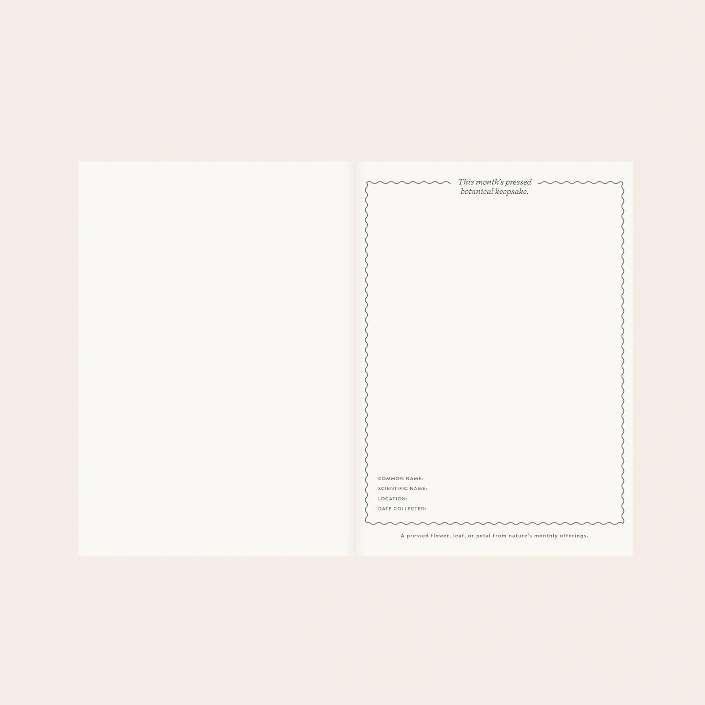 HERBARIUM | LINEN-BOUND UNDATED PLANNER