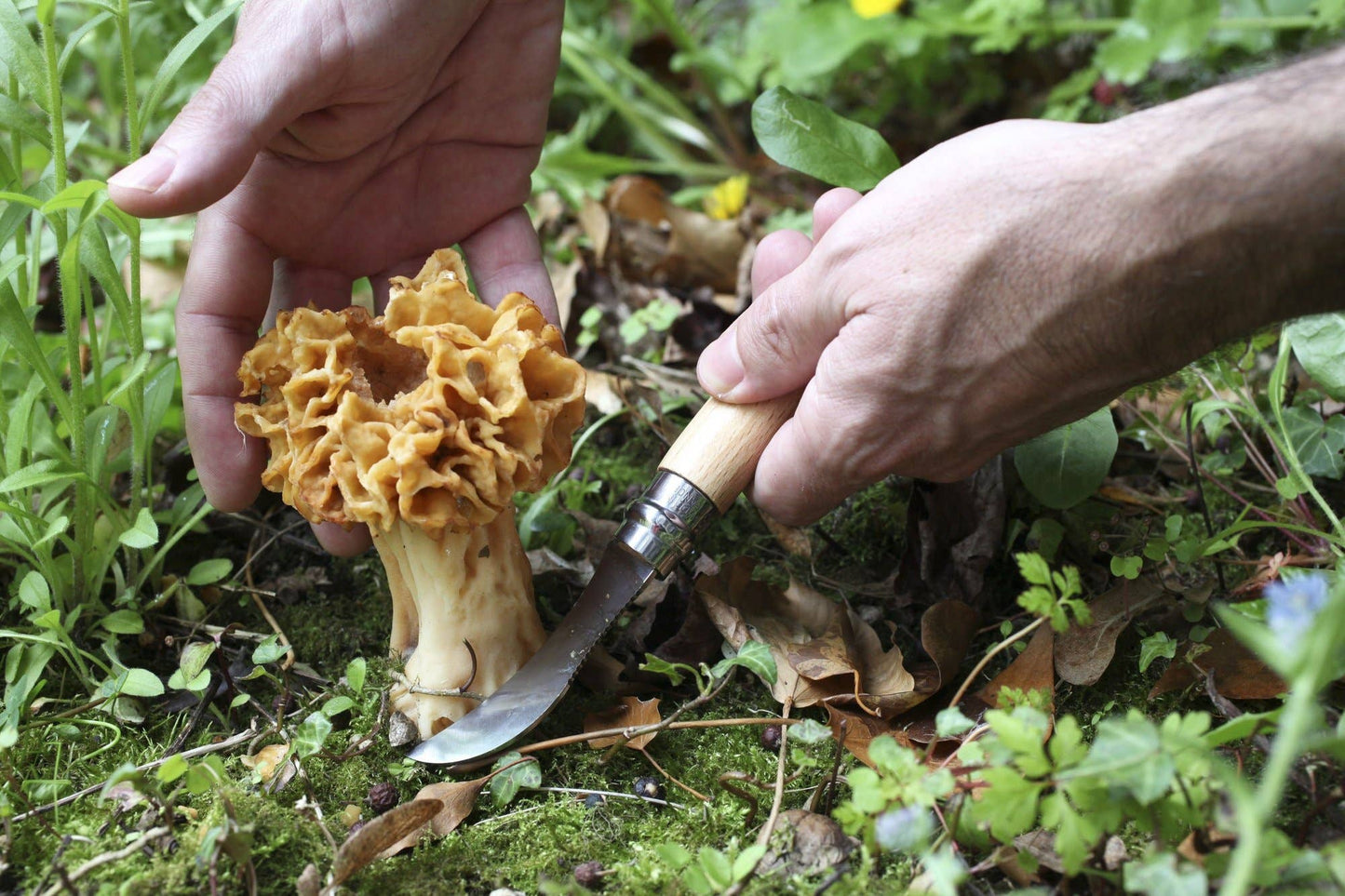 No.08 Mushroom Knife with Brush