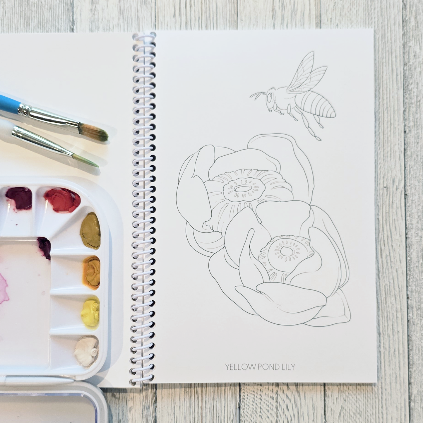 Floral Alaska Art Coloring Book