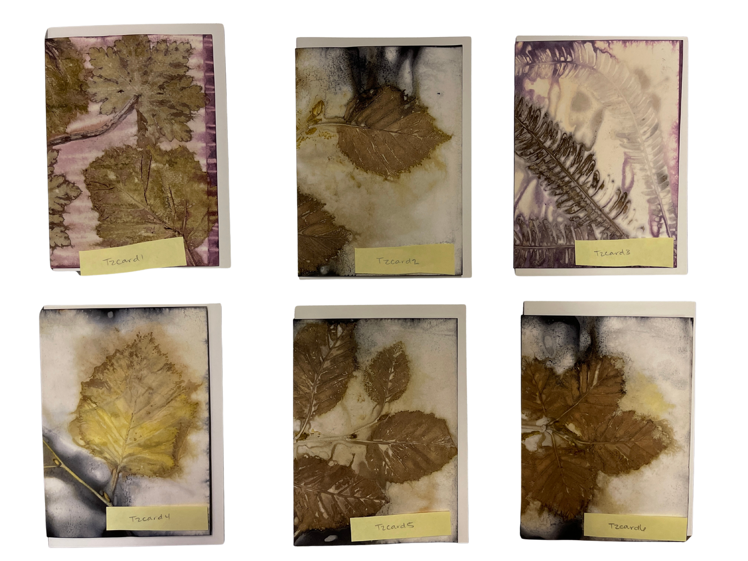 Copper River Delta Shorebird Festival Classes – The Net Loft