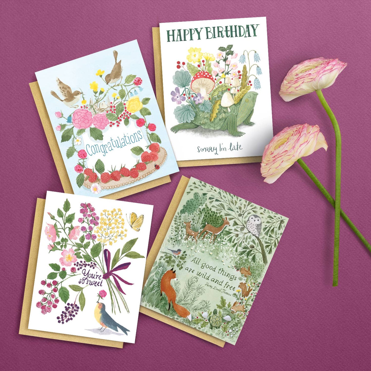 Belated Birthday Turtle Card