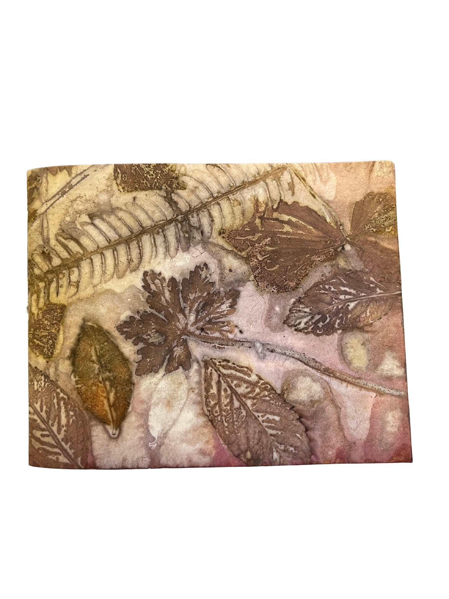 Signature Soft Cover Sketchbook