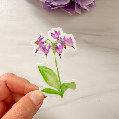 Watercolor Shooting Star Flower Wildflower Sticker