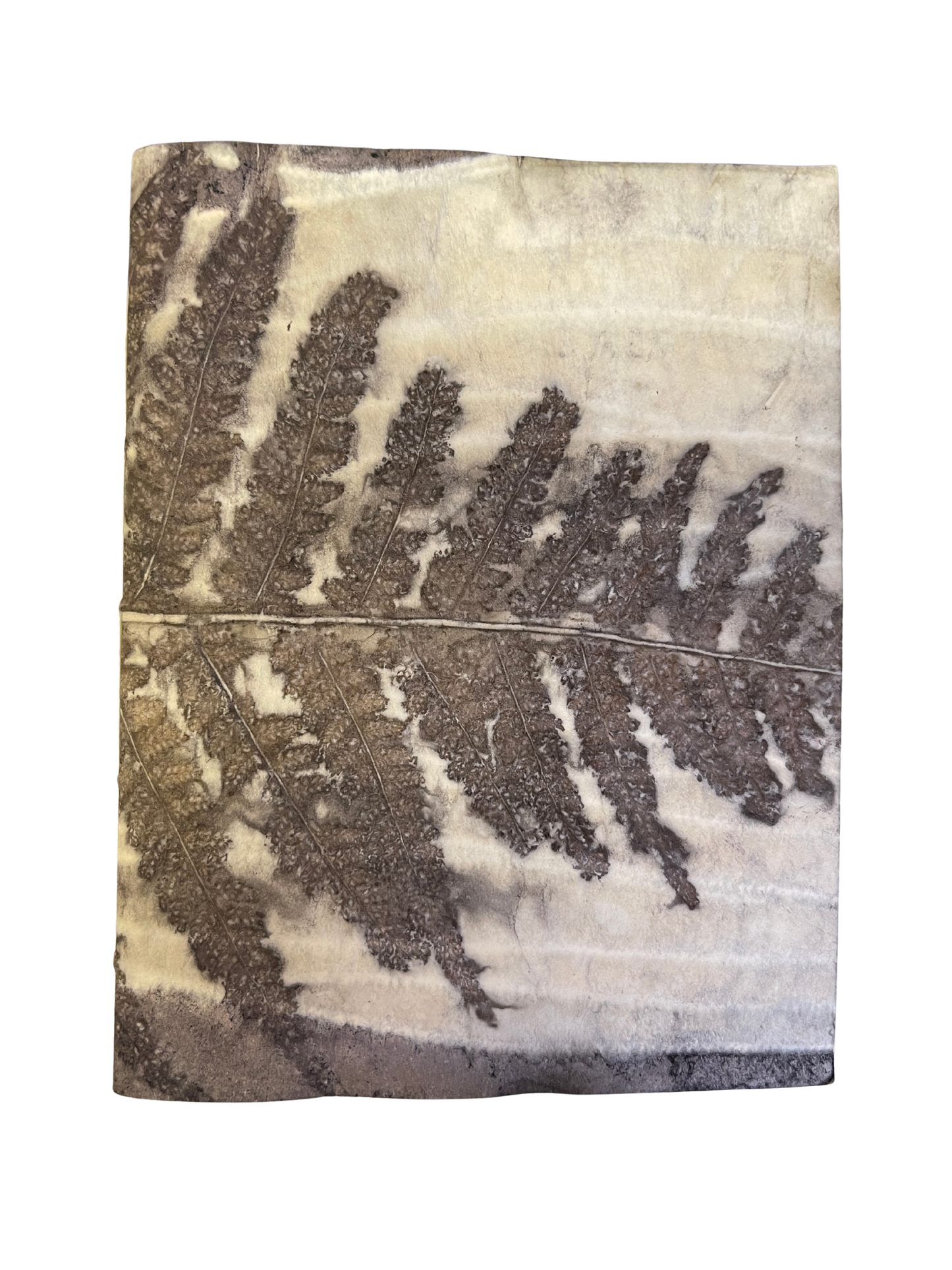 Signature Soft Cover Sketchbook