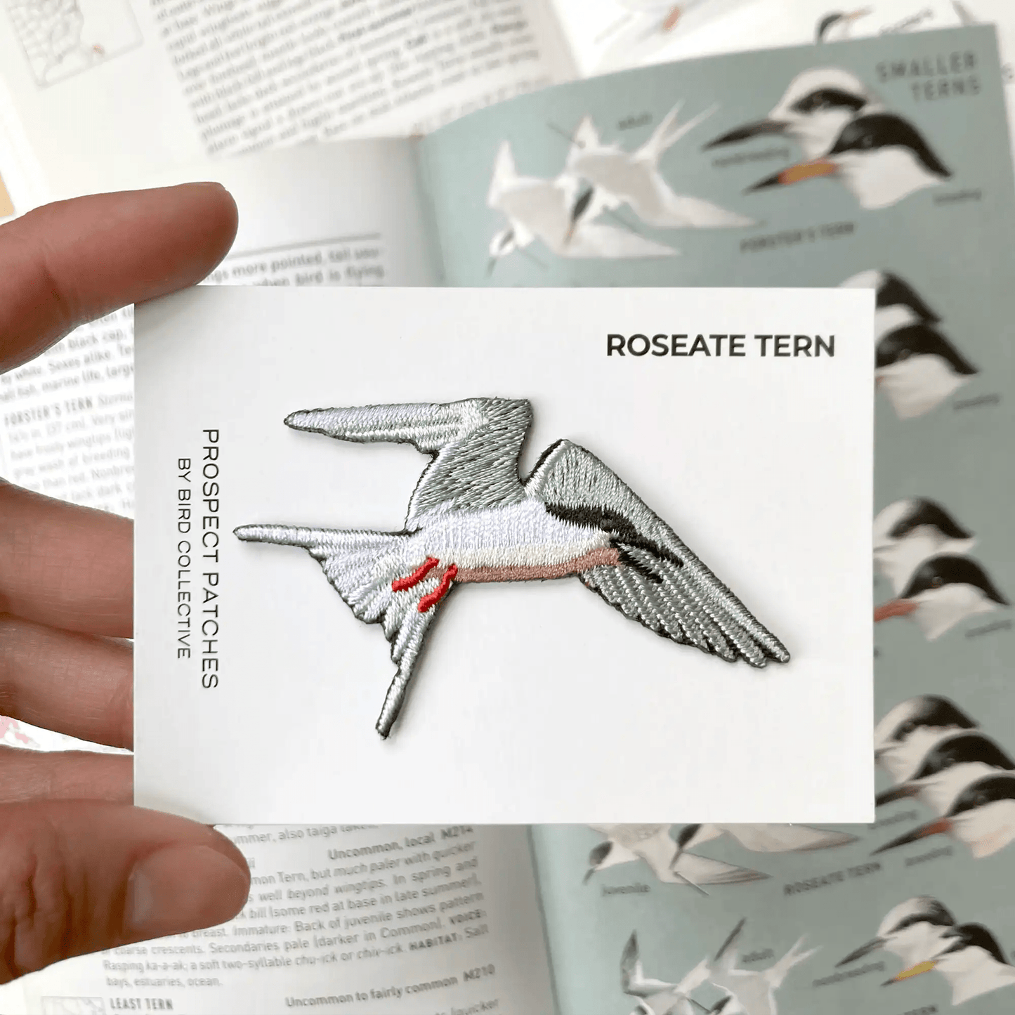 Roseate Tern Patch