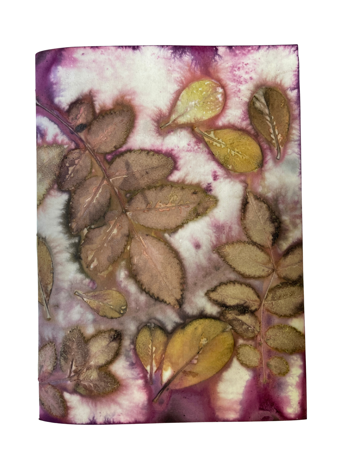 Signature Soft Cover Sketchbook