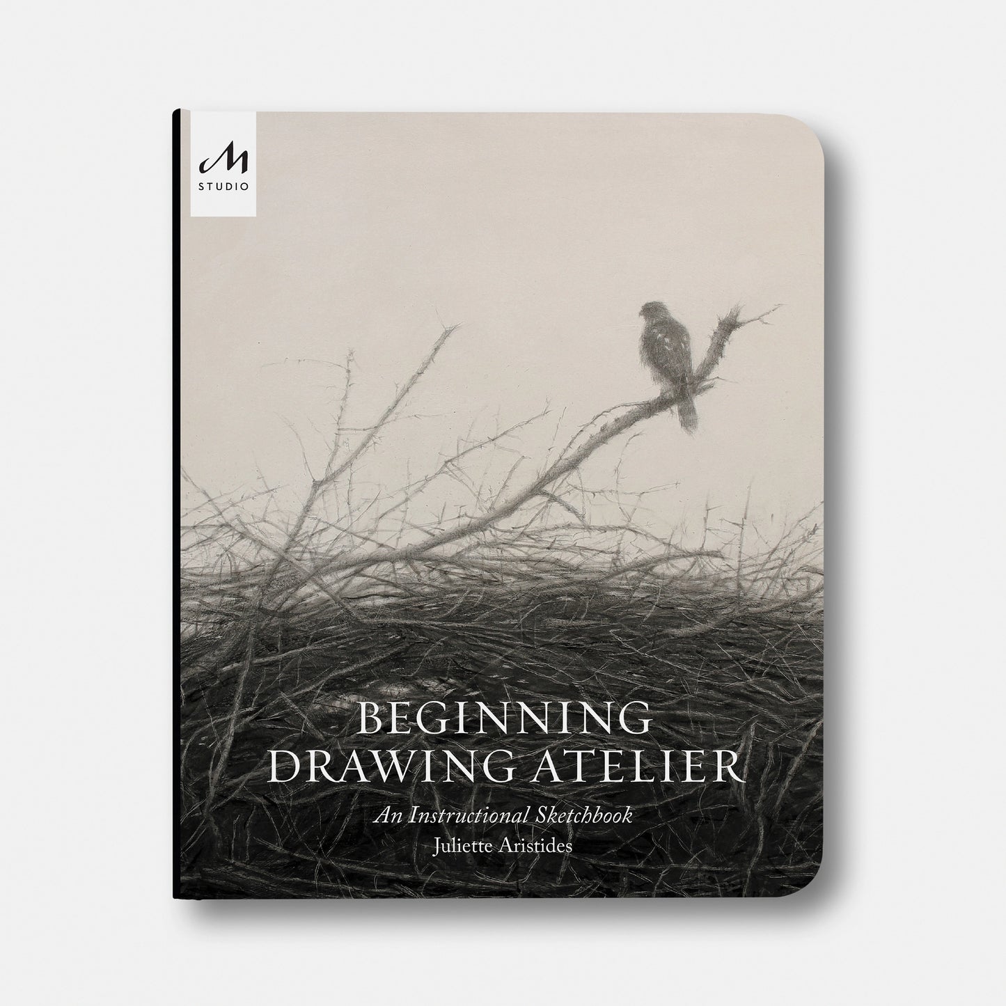 Beginning Drawing Atelier | An Instructional Sketchbook