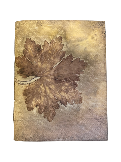 Signature Soft Cover Sketchbook