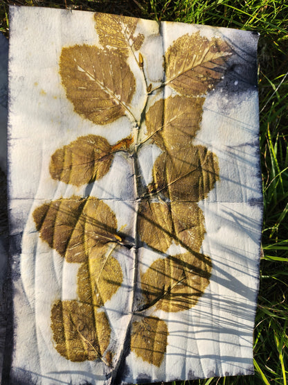 Eco Printing with Tanya Zastrow
