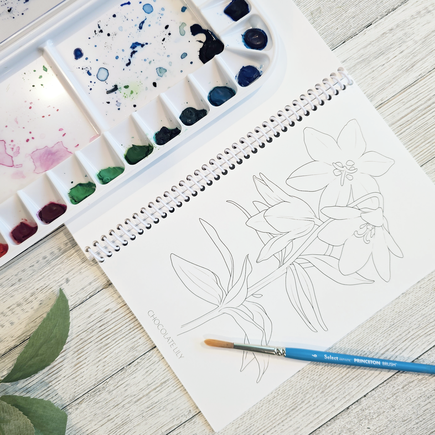 Floral Alaska Art Coloring Book