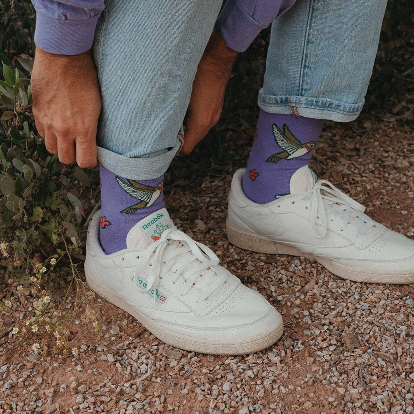 Hummingbirds Socks