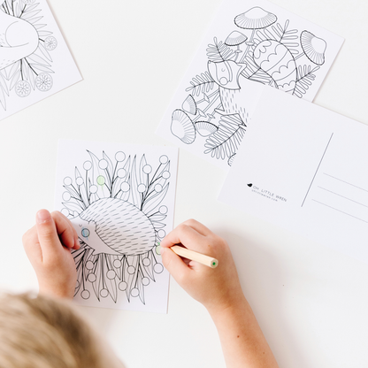 Woodland Coloring Postcards | Set of 14 Illustrated Art Card
