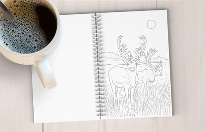 Wild Alaska Art Coloring Book