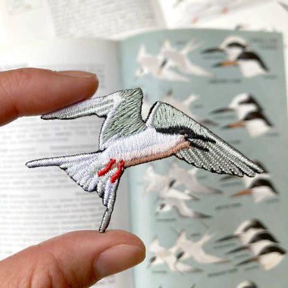 Roseate Tern Patch