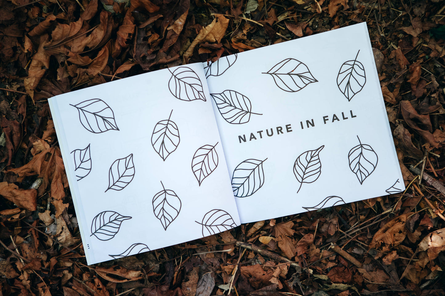 Fall Things: How to Draw Books for Kids with Pumpkins, Scarecrows, Turkeys and More