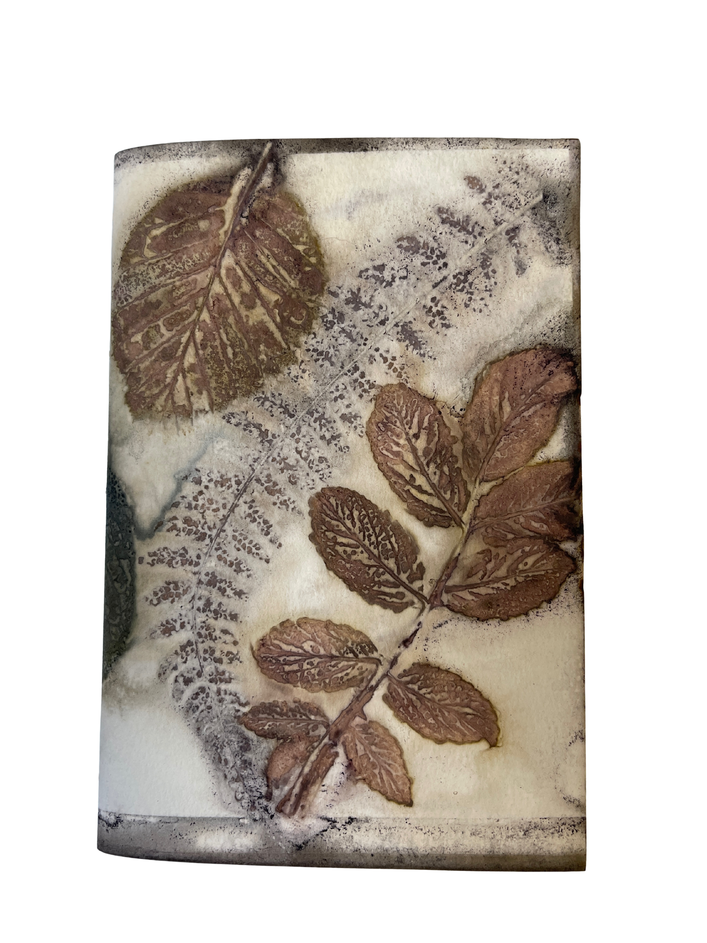 Signature Soft Cover Sketchbook