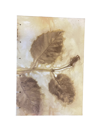 Hard Cover Sketchbook 9x6