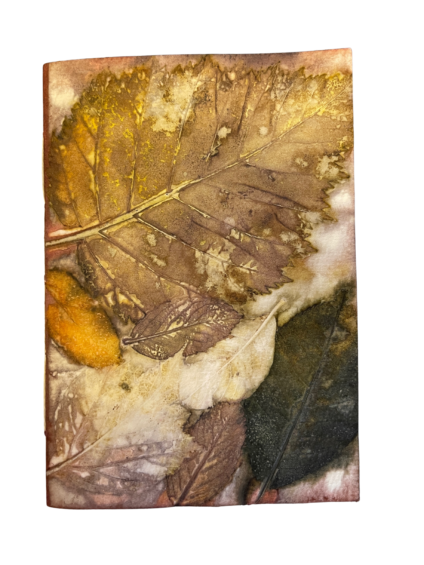 Signature Soft Cover Sketchbook