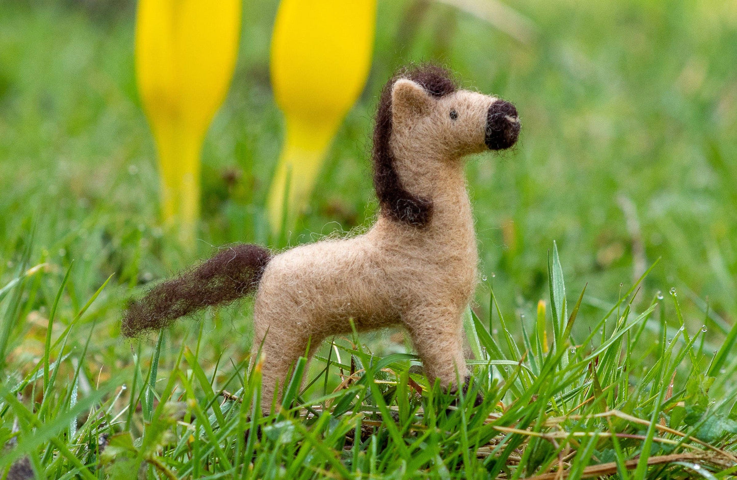 Pony Felting Kit