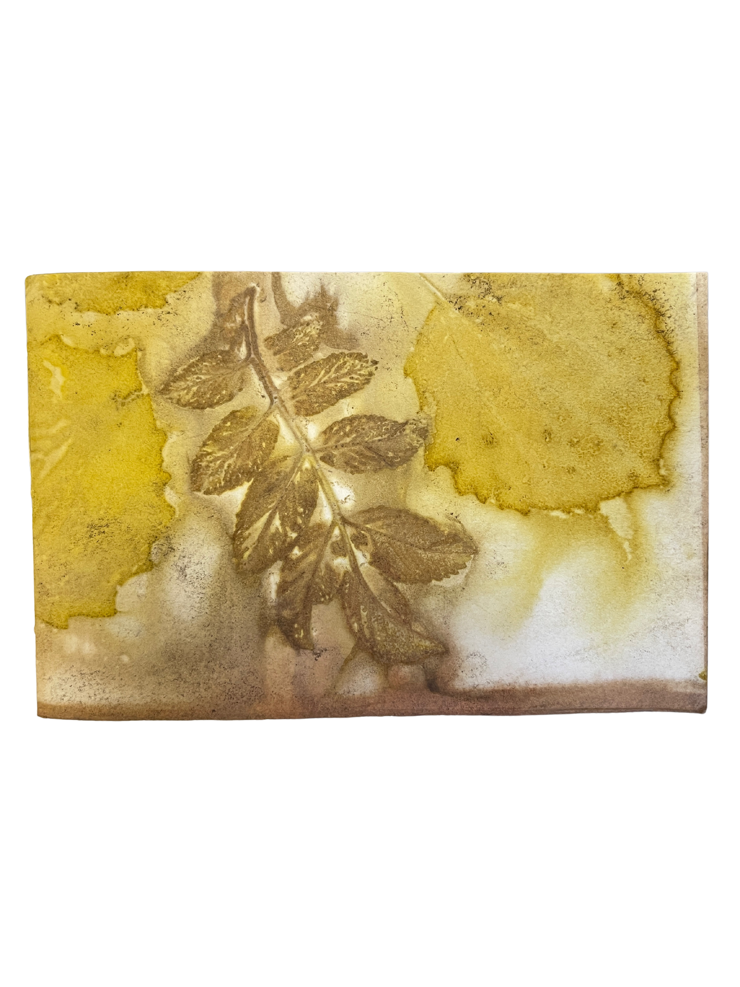 Signature Soft Cover Sketchbook