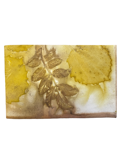 Signature Soft Cover Sketchbook