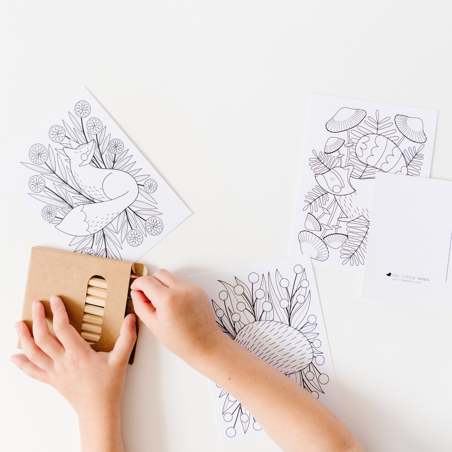 Woodland Coloring Postcards | Set of 14 Illustrated Art Card
