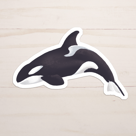 Orca Killer Whale Sticker || Waterproof Vinyl