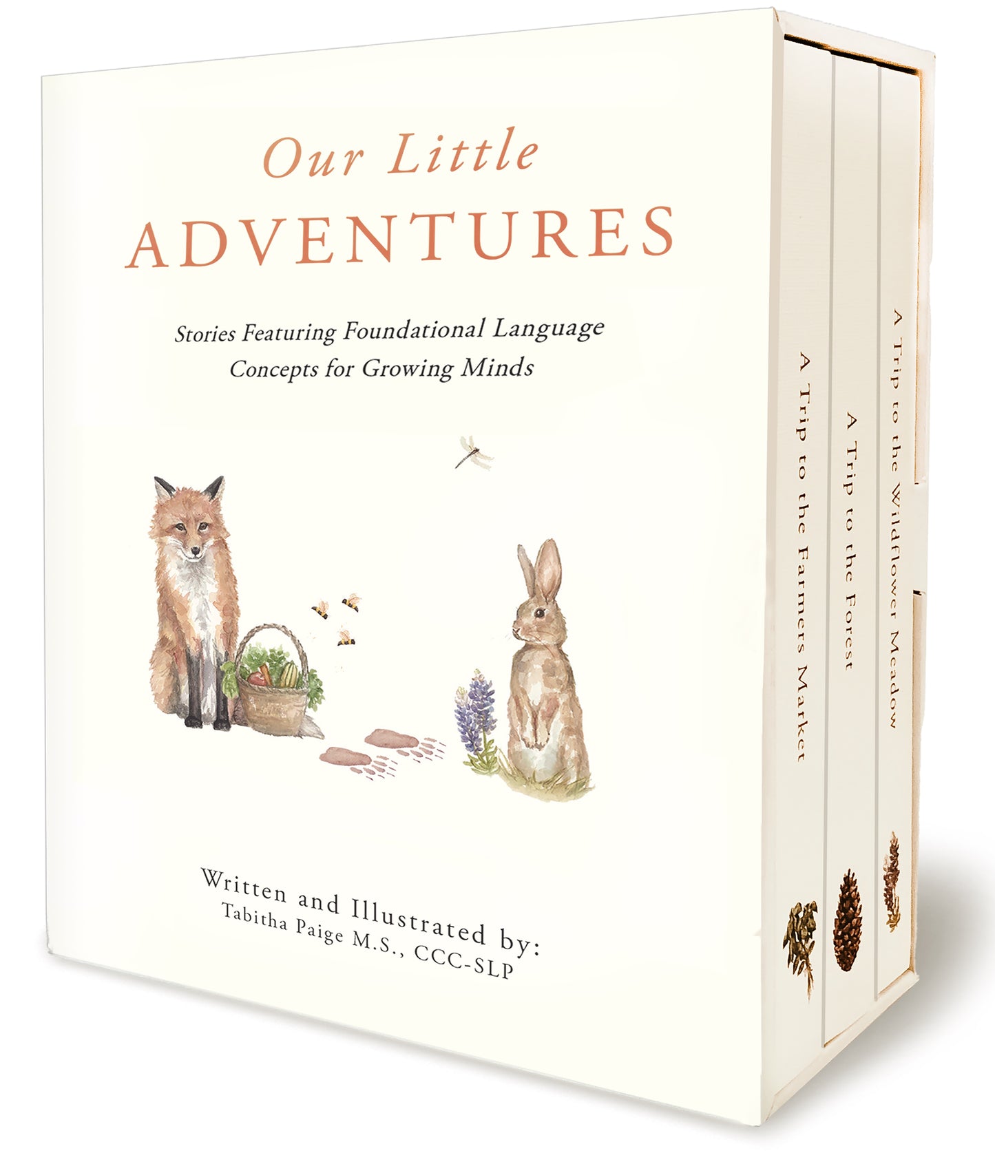 Our Little Adventures | Stories Featuring Foundational Language Concepts for Growing Minds