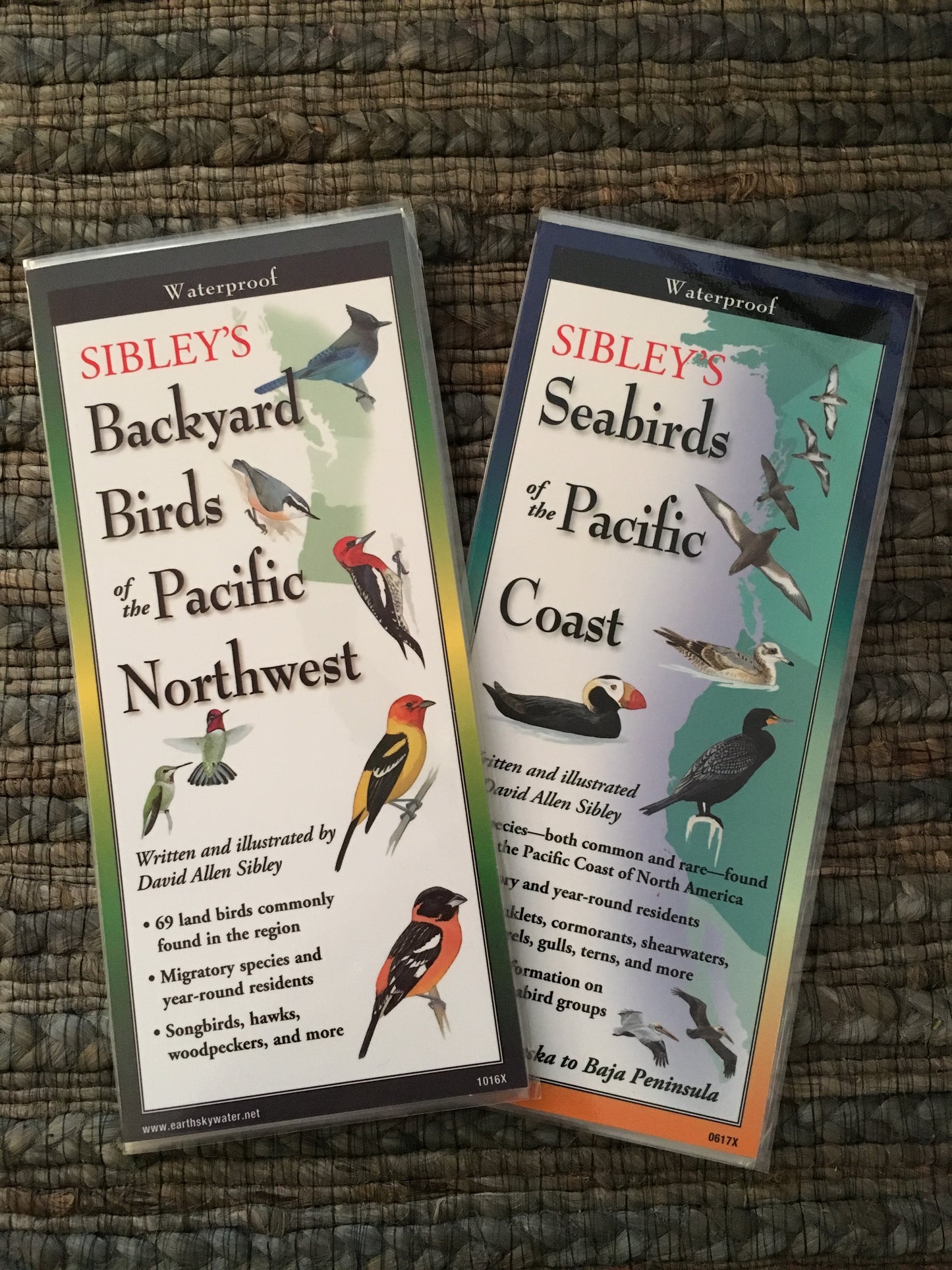 Sibley's Seabirds of the Pacific Coast