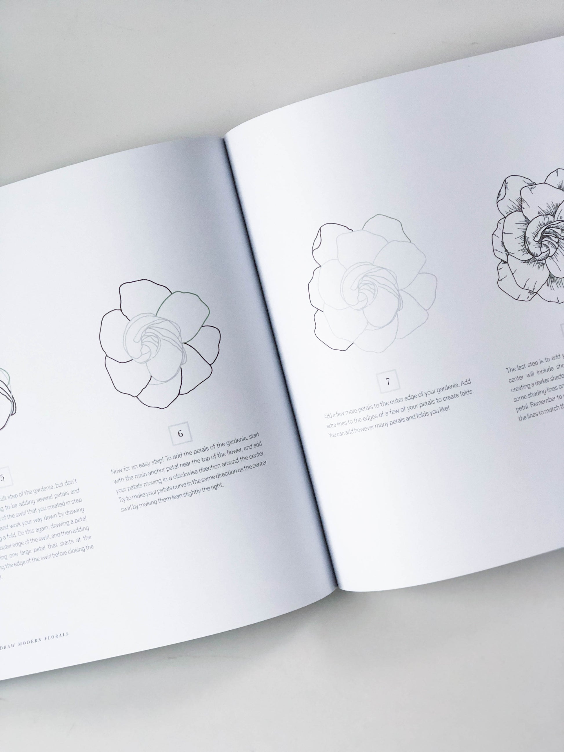 How To Draw Modern Florals: An Introduction To The Art of Flowers, Cacti, and More [Book]