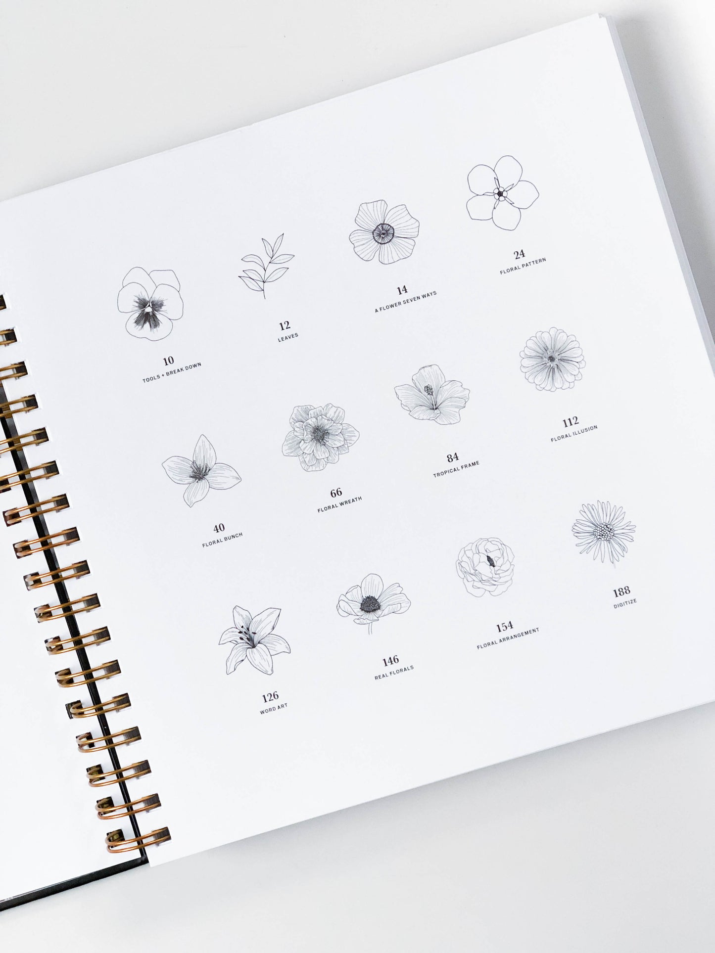 Florals By Hand | How to Draw and Design Modern Floral Projects