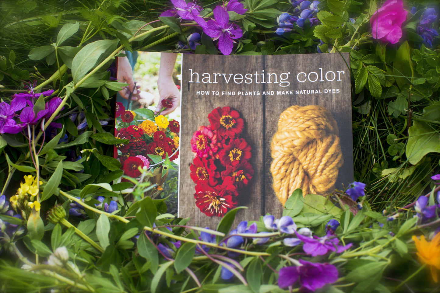 Harvesting Color:   How to find plants and make natural dyes