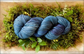 Blueberries Cordova Colorway