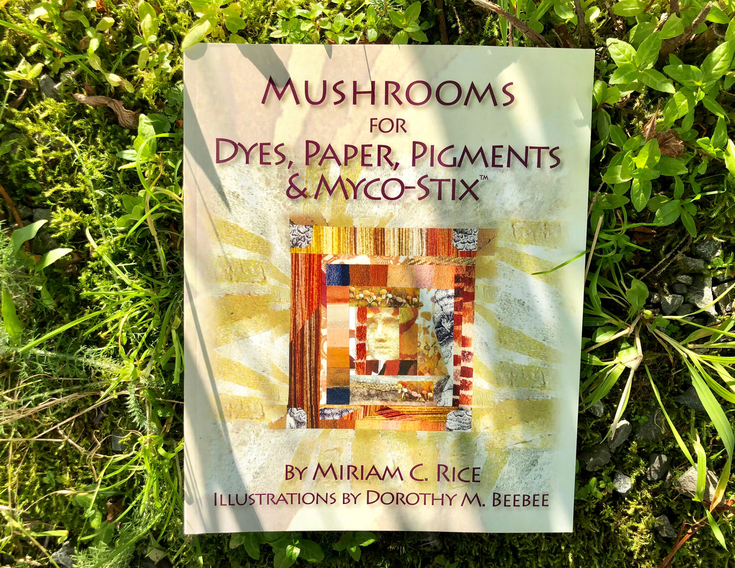 Mushrooms for Dyes, Paper, Pigments & Myco-Stix by Miriam C. Rice