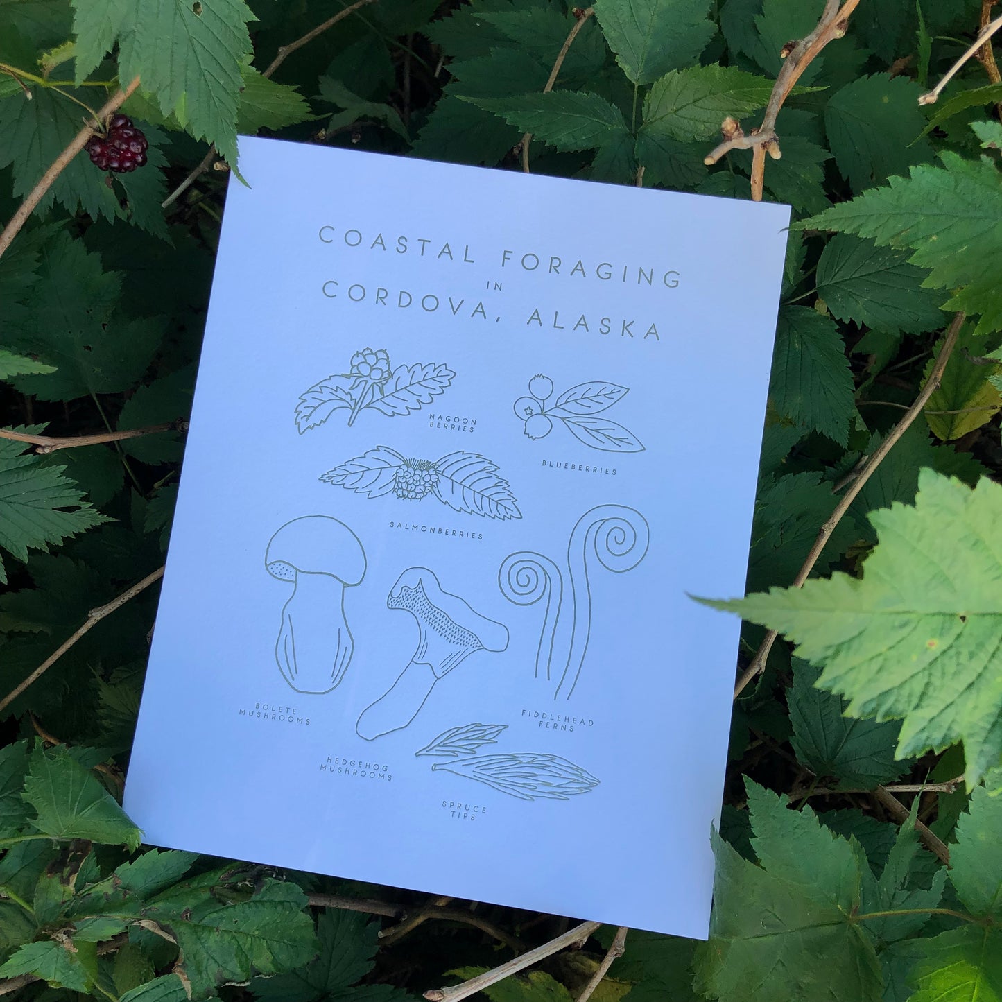 Coastal Foraging in Cordova, Alaska Letterpress Print