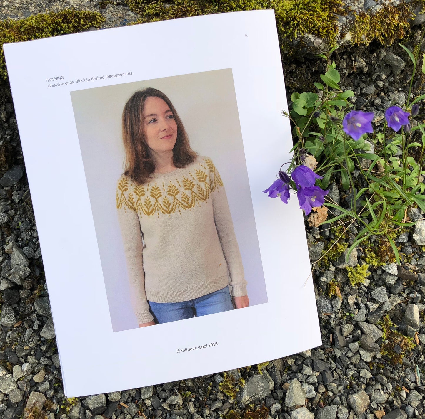 Anaashah Sweater Pattern by Jenn Steingass